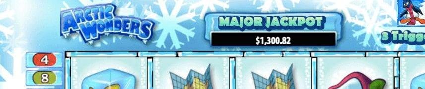 Arctic wonders 857X180